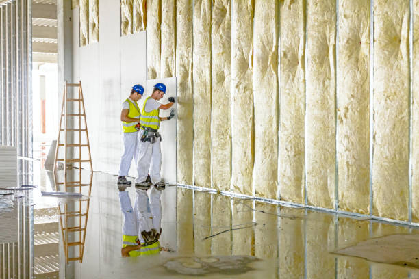 Best Garage Insulation Installation  in Gouldtown, NJ